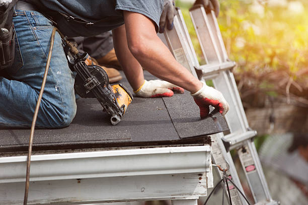Best Roof Gutter Cleaning  in Sheboygan Falls, WI